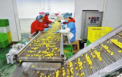 在鄉下辦廠有什么好項目(投資3萬以內的小生意)